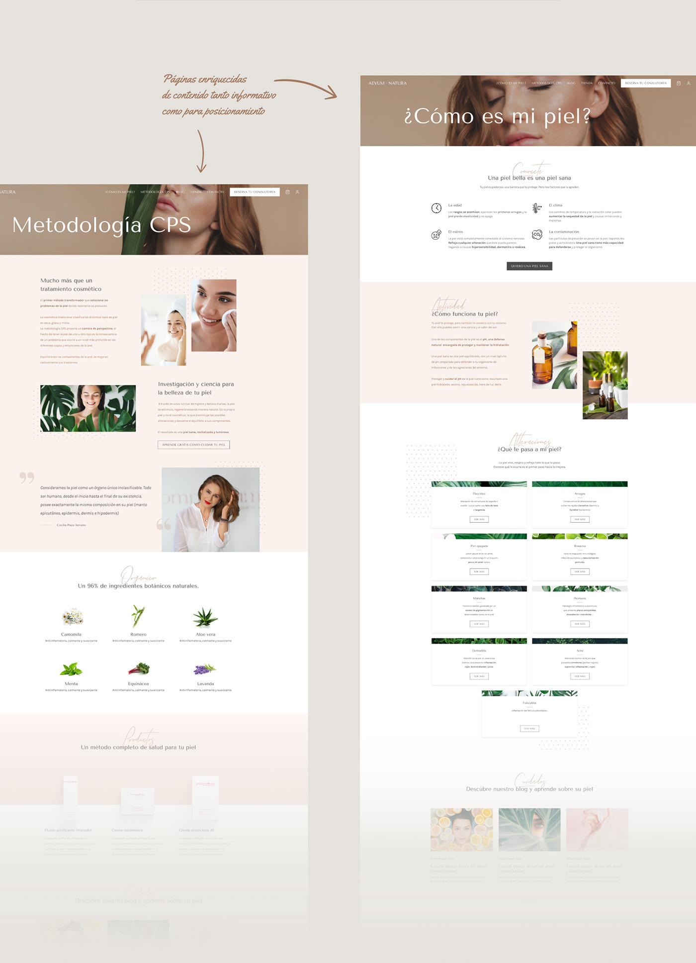 Branding Identity CaseStudy Ecommerce Fashion  UI/UX user experience user interface ux UX design Website