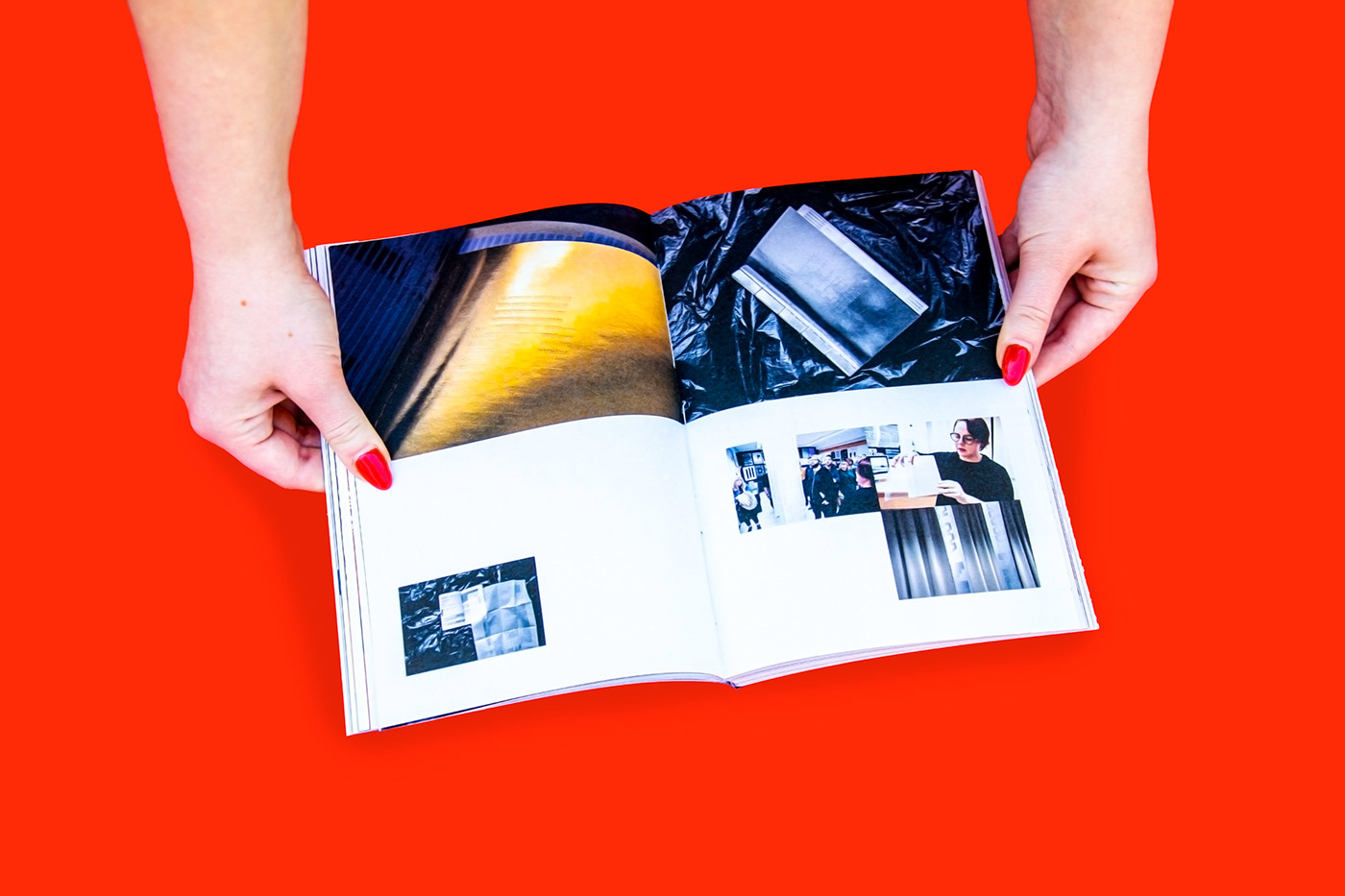 Barbara Katona  book brbrgraphics CV graphic design  ILLUSTRATION  photo portfolio publication