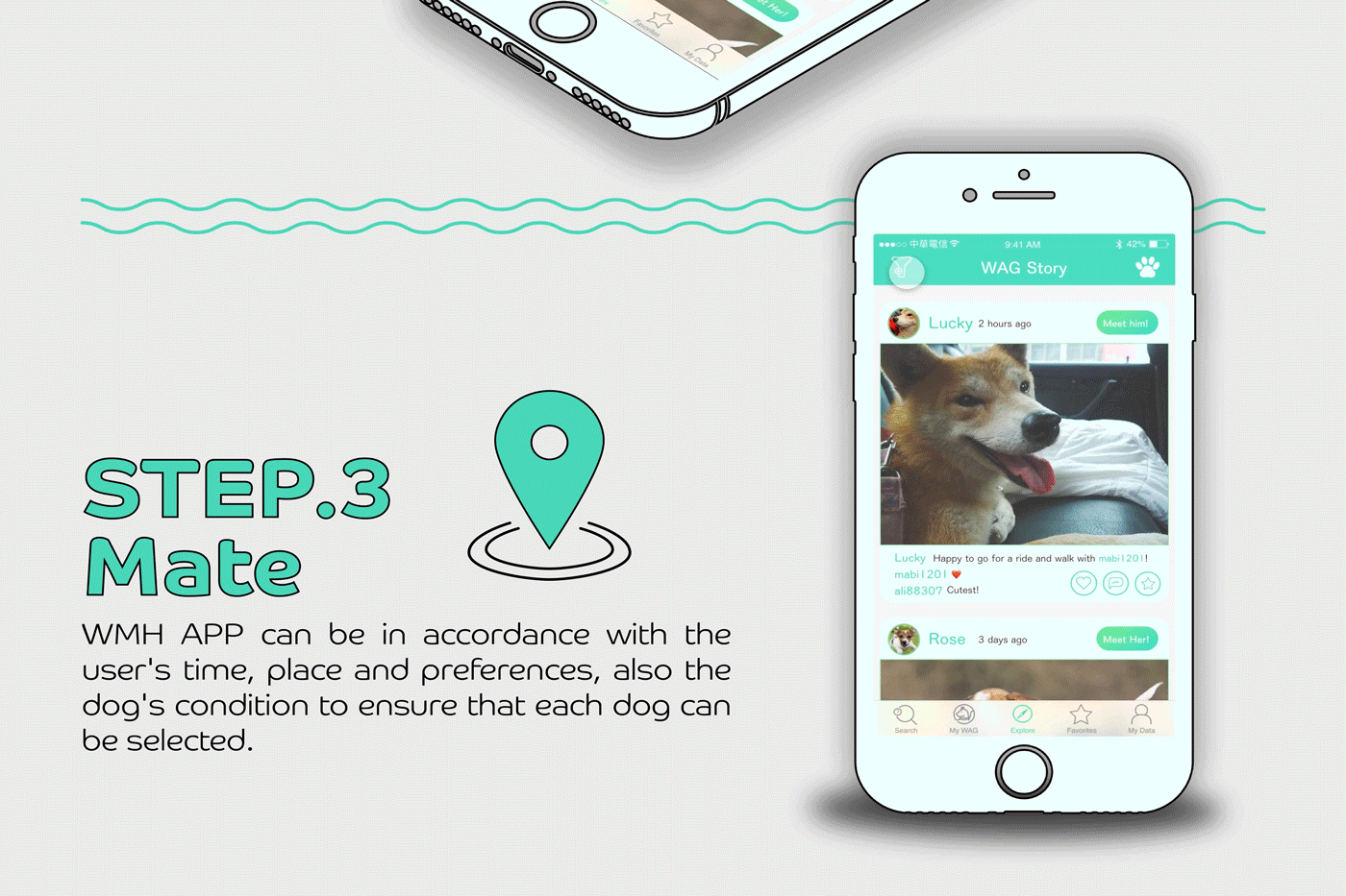 social app UI animal dog lifestyle Urban city adobeawards