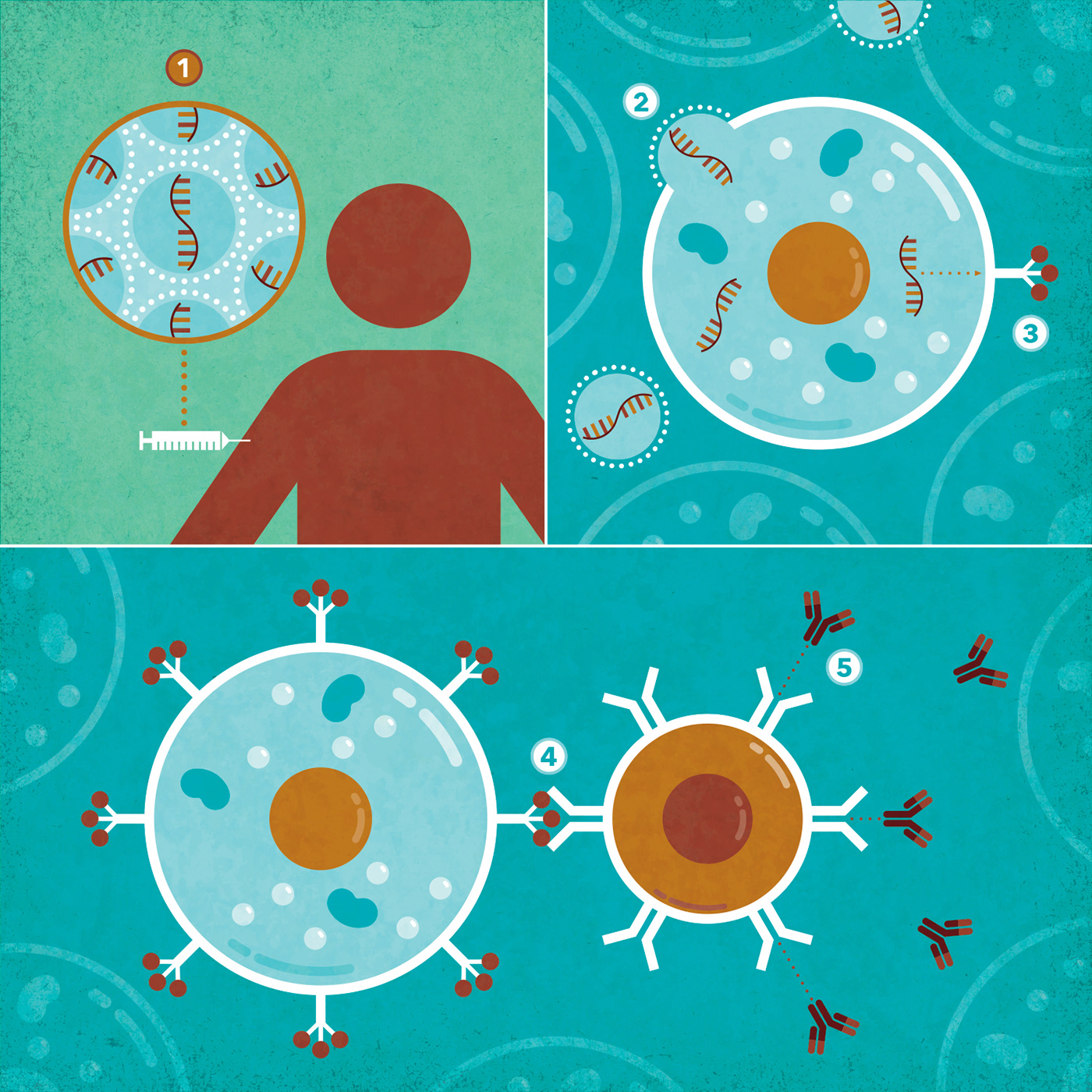 biotech cellular COVID-19 gene therapy health care infographic medicine microscopic mRNA vaccines