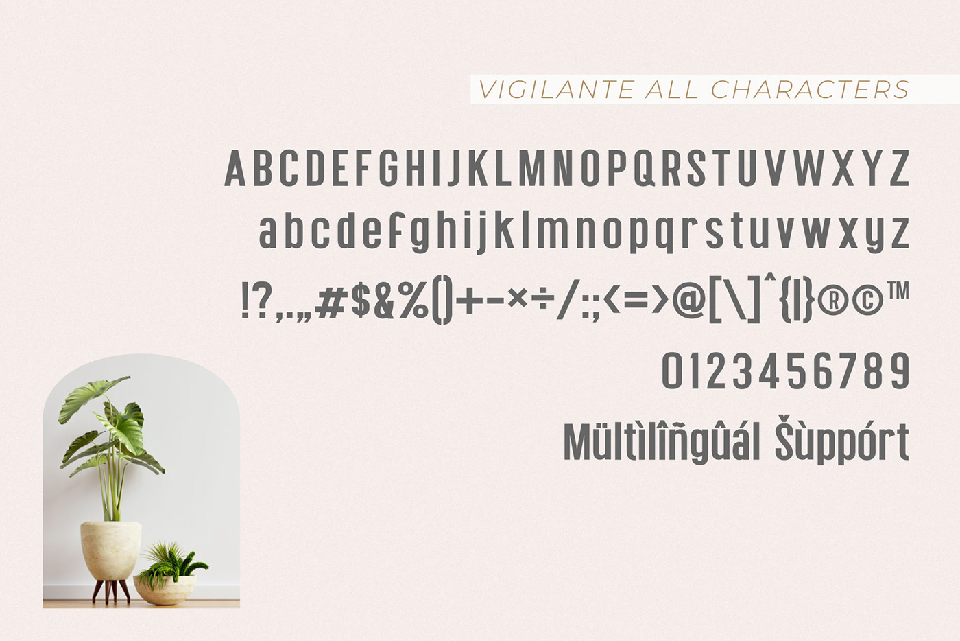 modern font sans serif font signature font Script Font Logotype logo font Social Media Design magazine layout elegant font wedding font