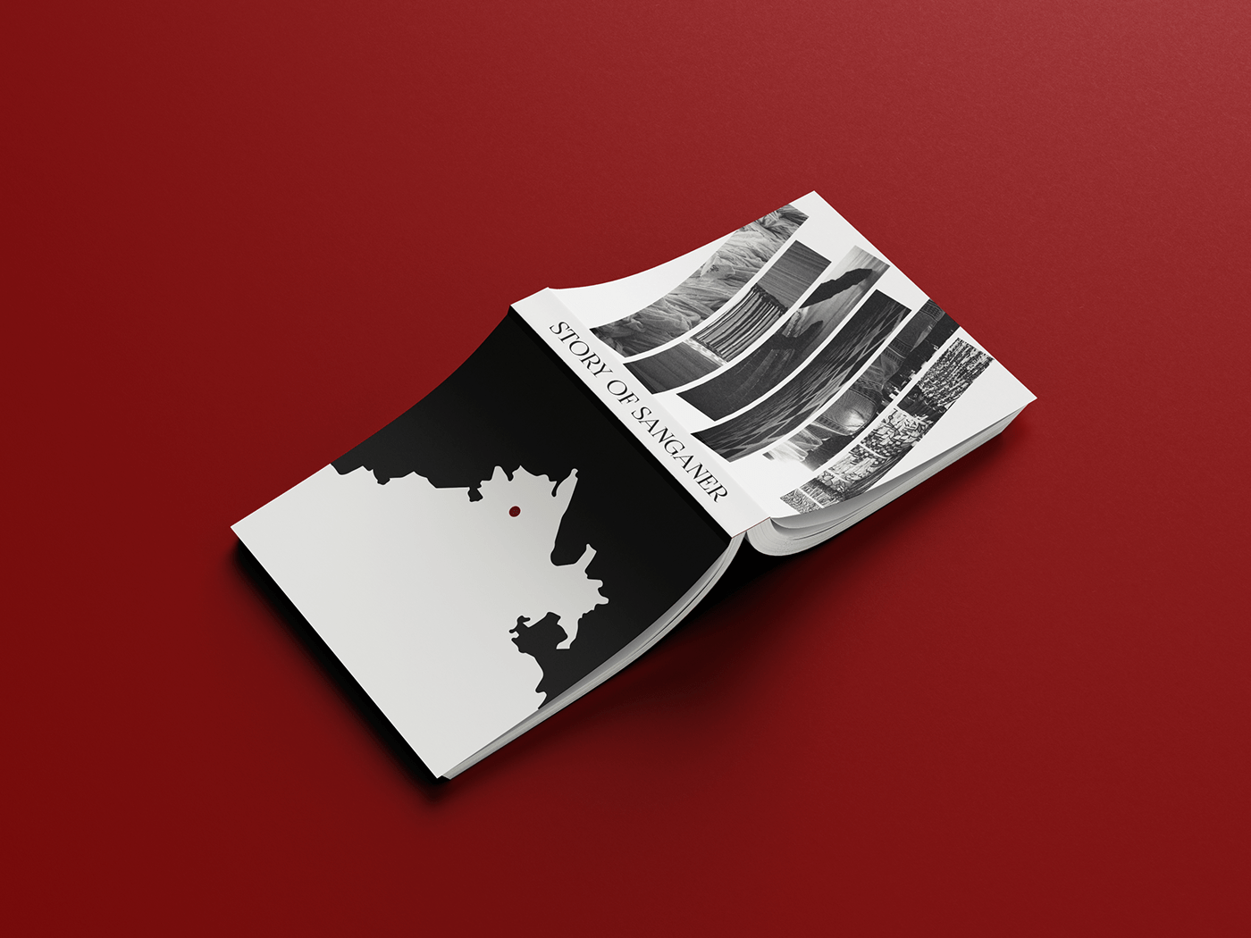 book Bookdesign craft graphic design  publication design