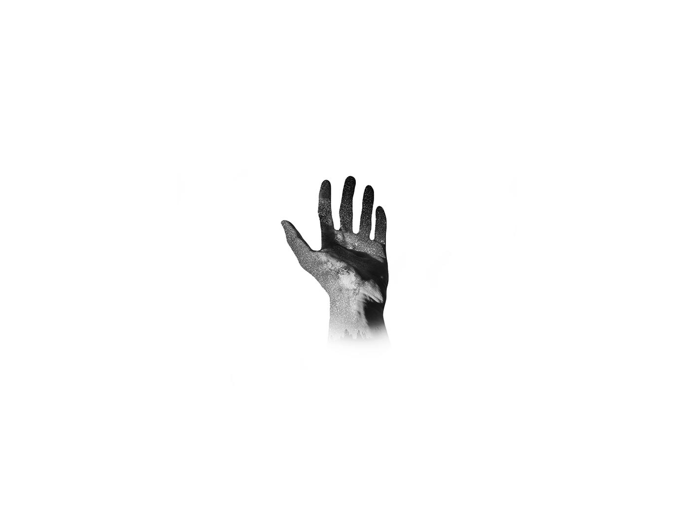 bodyes Photo Manipulation  art direction  graphic design  black and white Monochromatic hands bodies
