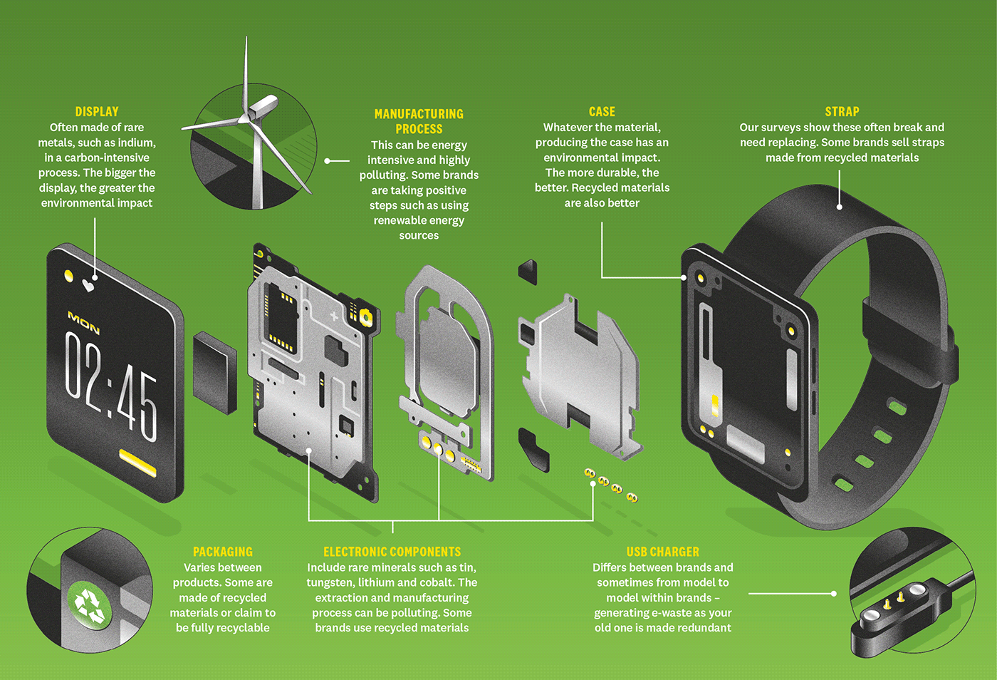 infographic Smart watch exploded view