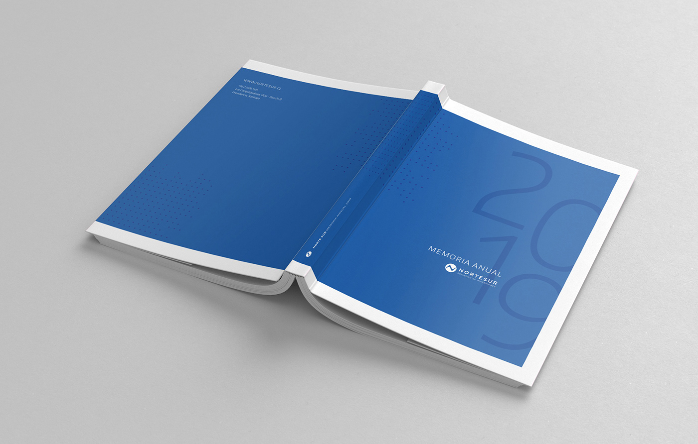 annual report corporative memoria anual norte sur business areas company investment society print design  sociedad de inversiones summary