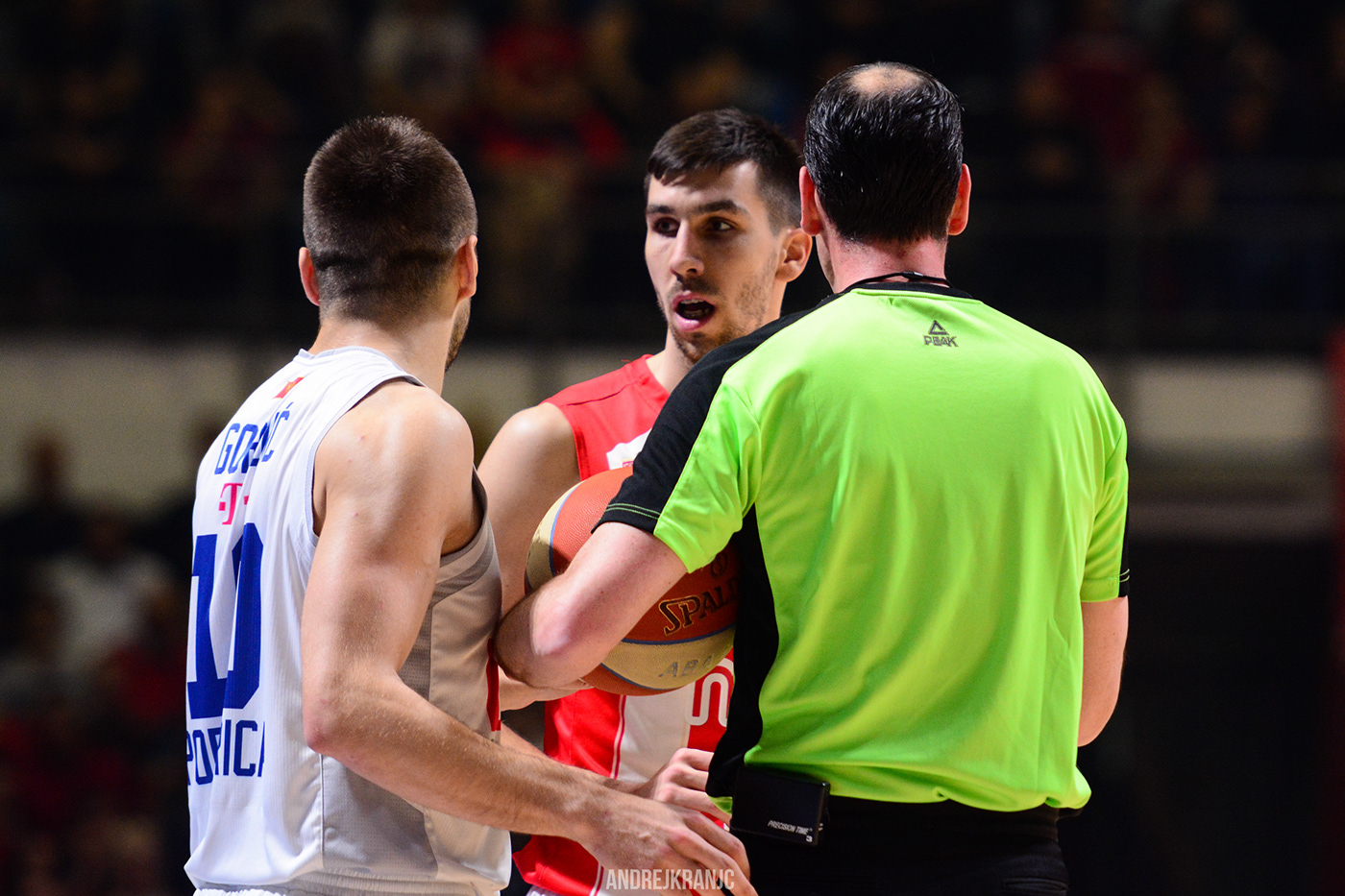 crvena zvezda belgrade Serbia Europe montenegro basketball photo Photography  sportphotography Picture