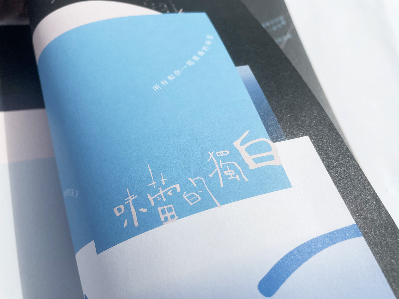 book design graphic design  ILLUSTRATION  Layout Design photoshop Typeface visual graphic Zine 