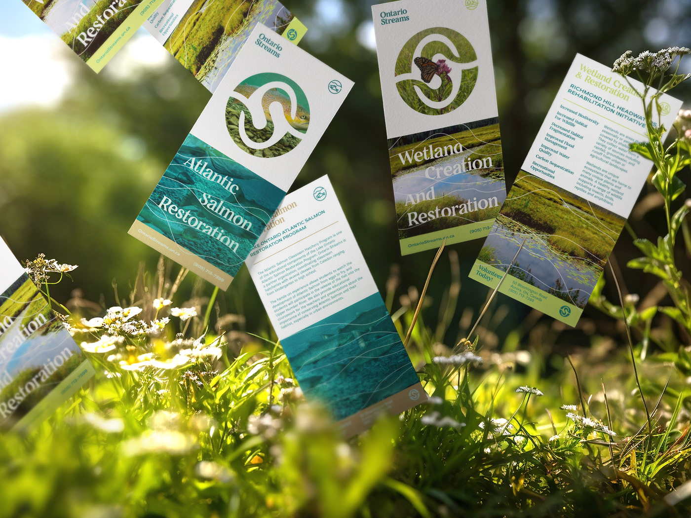 conservation environment environmental identity Nature Rebrand Sustainability non-profit river Sustainable