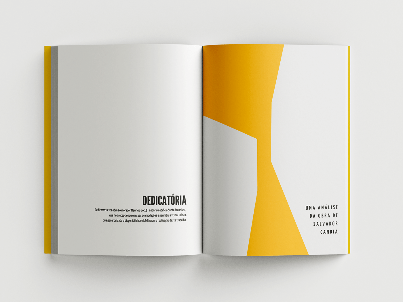 architecture arquitectura ARQUITETURA book cover design Engenharia historia history Livro