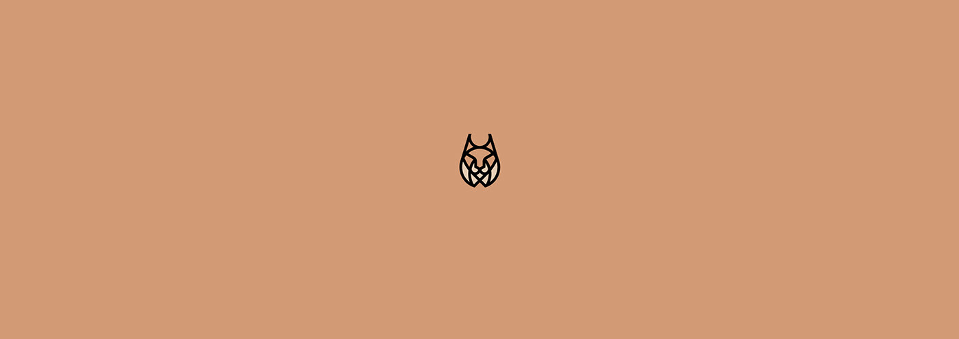 animal animation  Golden Ratio grid Icon logo minimal minimalist motion graphics  symbol