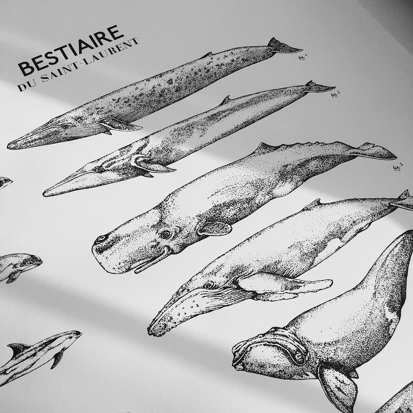 ILLUSTRATION  dots animal baleine Whale hand-made Canada Drawing  poster Screenprinting