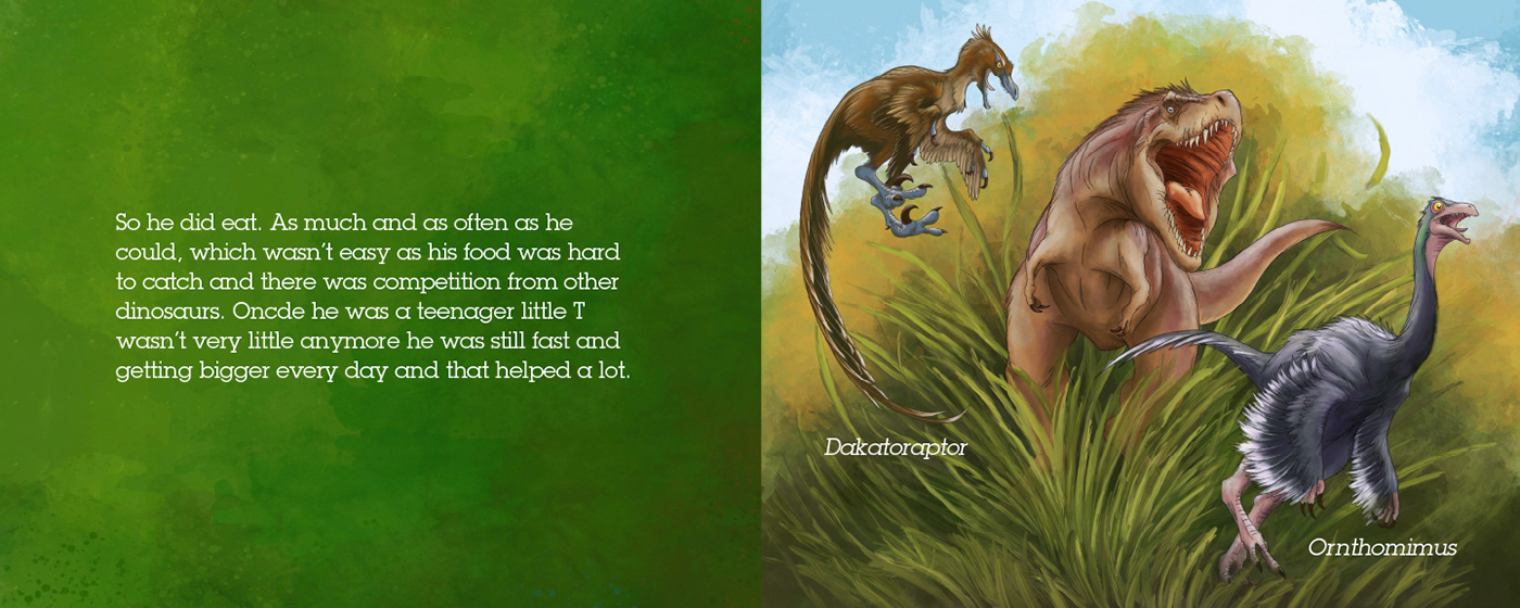 animals children Education ILLUSTRATION  Nature storybook storytelling  