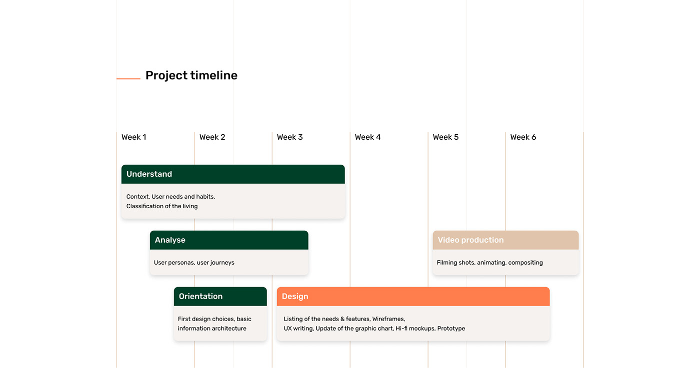 This is the timeline of the project showing the process we followed.