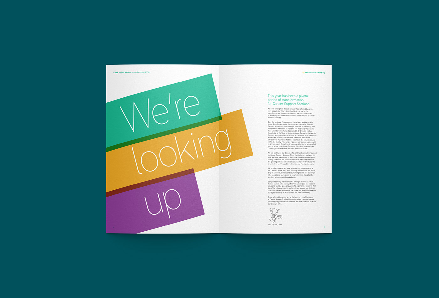 infographics charity annual report brochure design graphic design  publication design