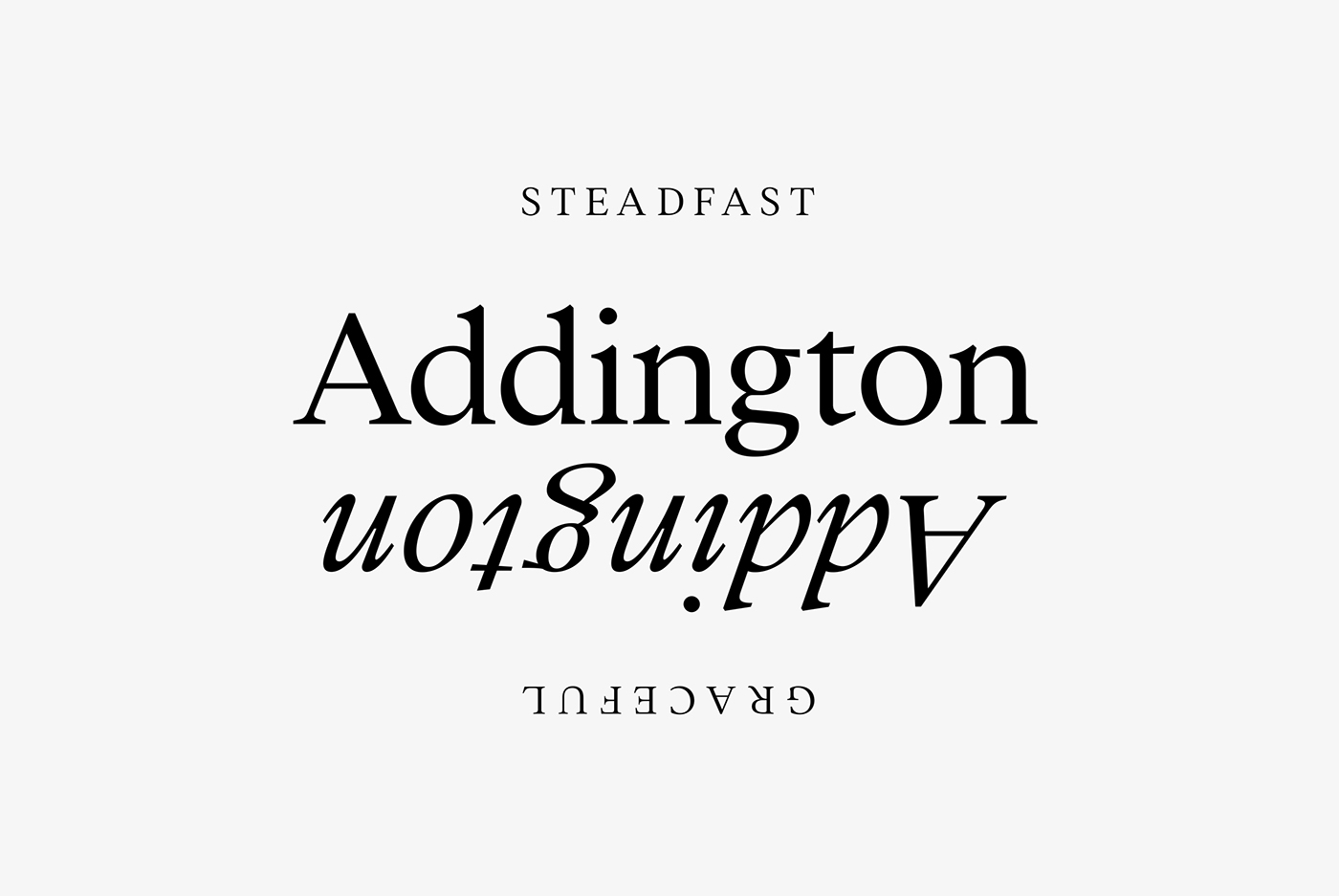 font Typeface serif traditional Classic connary fagen typography   font design type design fonts