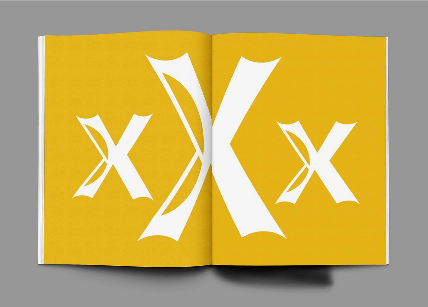 typography   TypeSpecimenBook design art sva