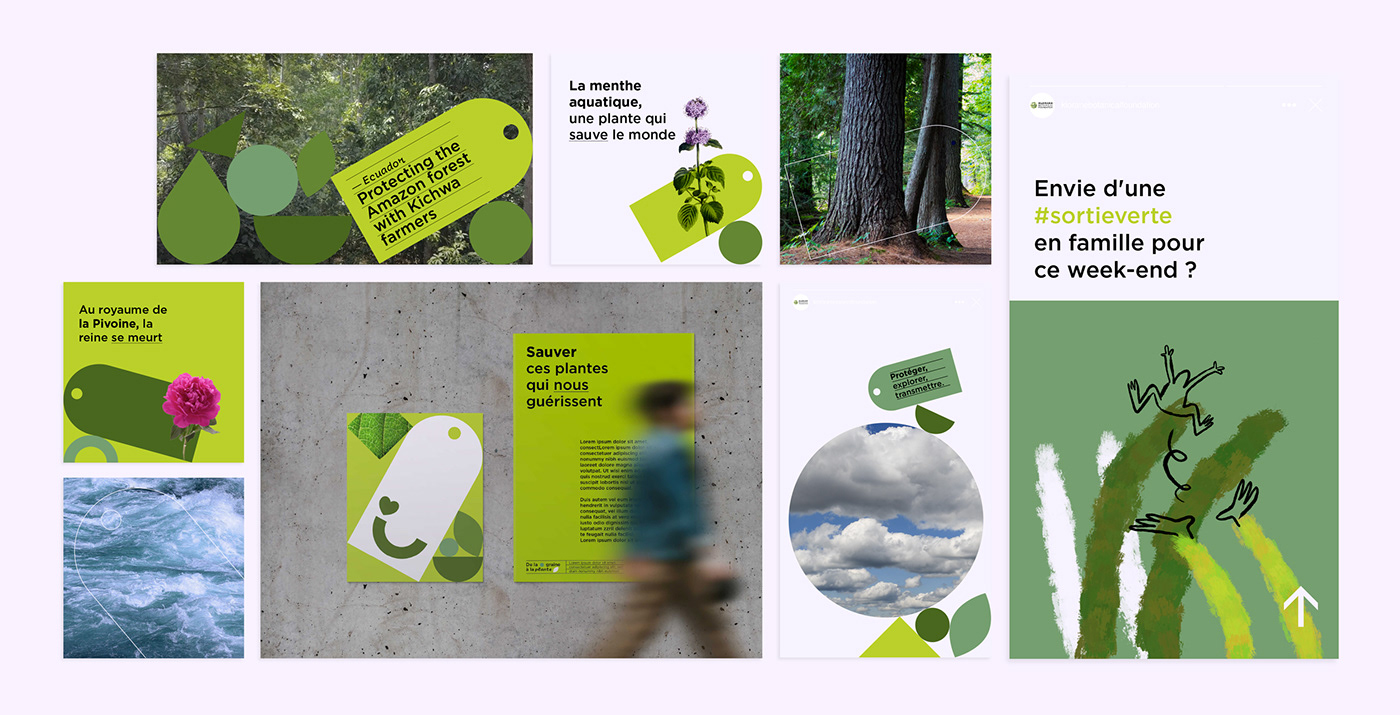art direction  branding  Ecology foundation green identity plants rse social media story