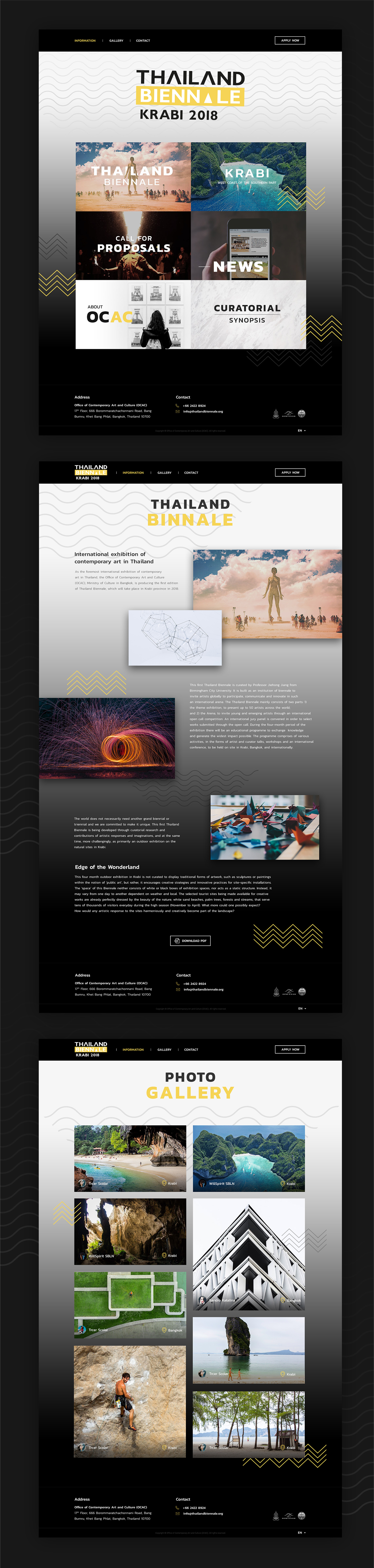 design Web Design  Thailand Website UI ux