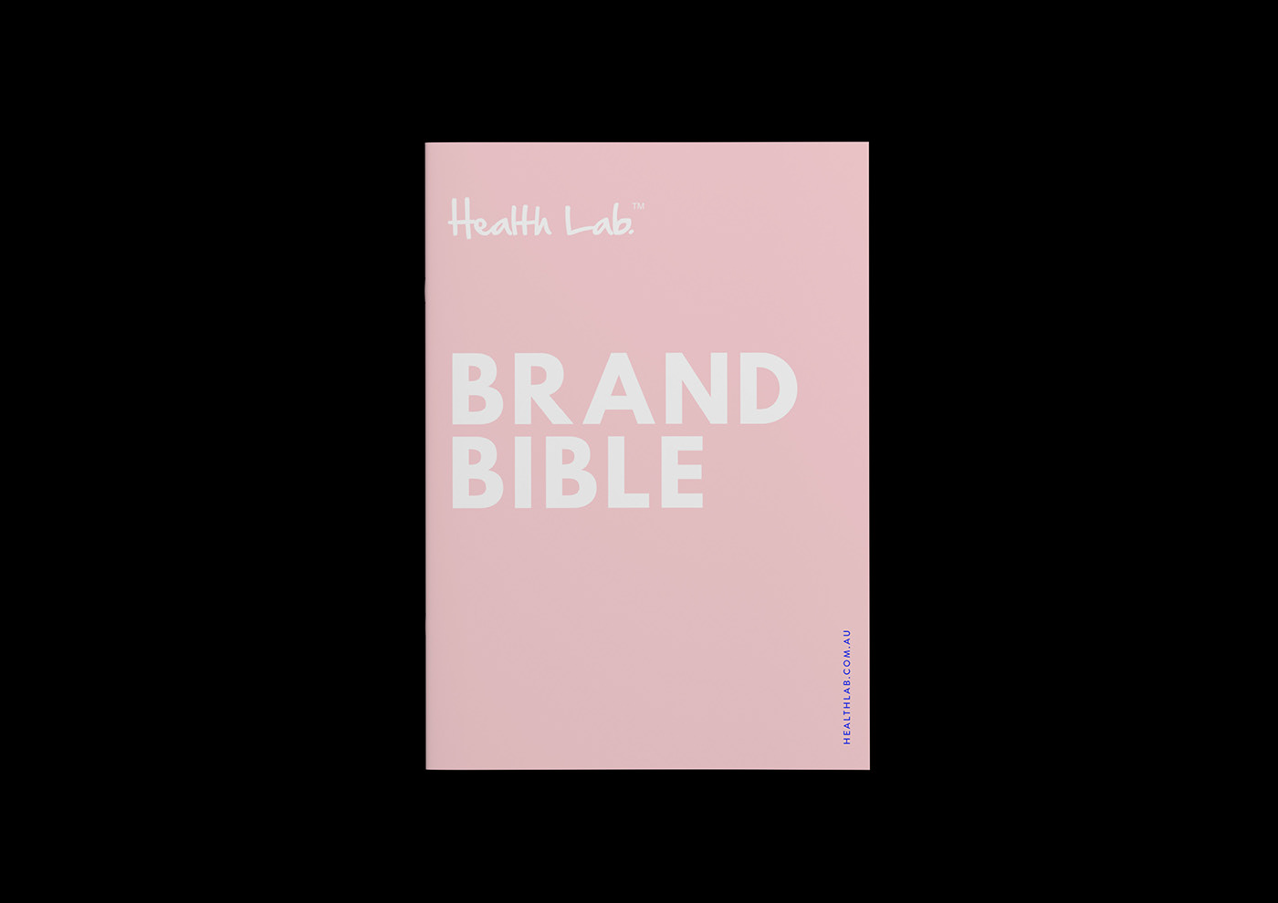 brand branding  Style Guide Style pink blue editorial book beauty healthy