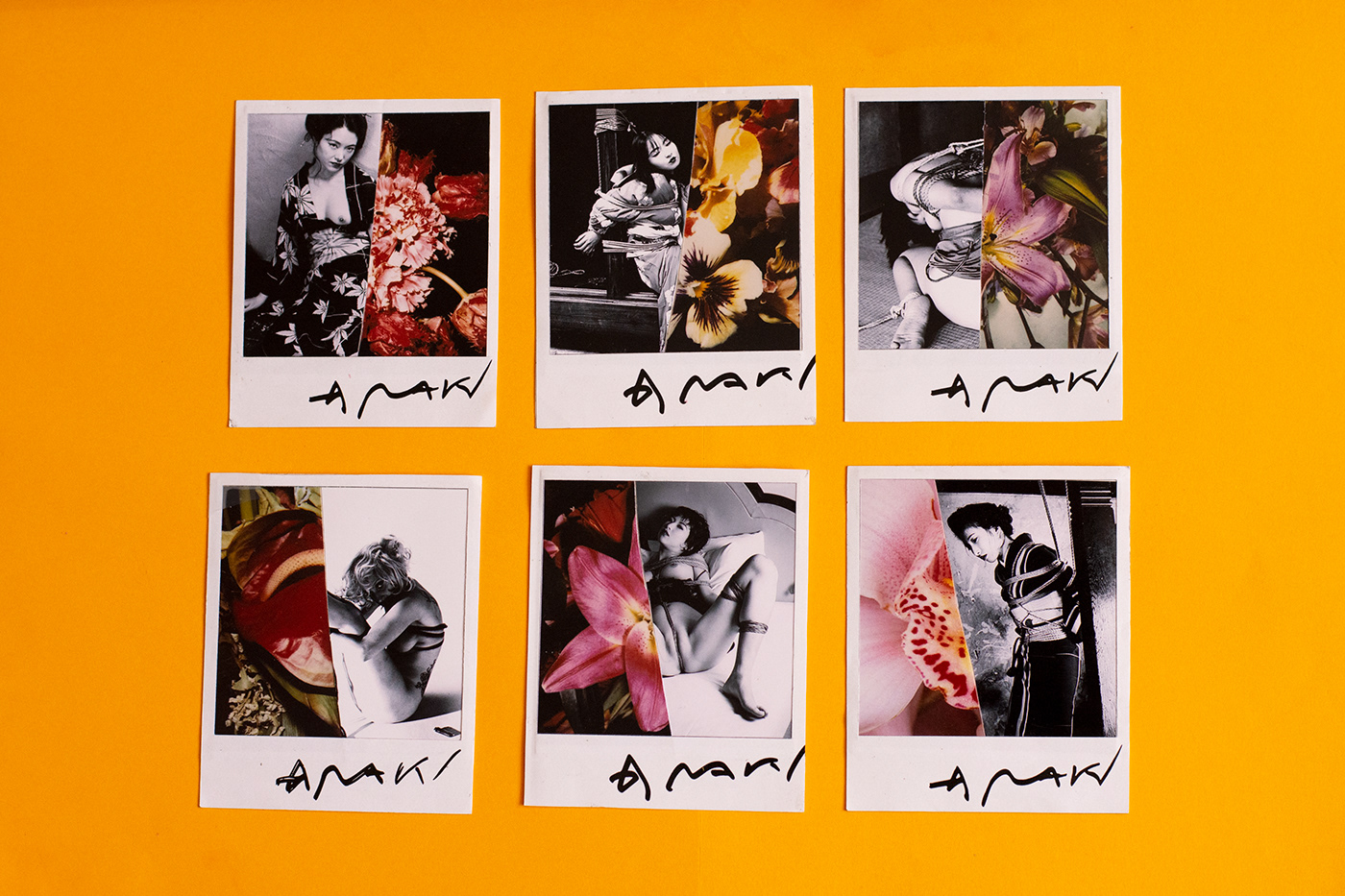 Araki artist biography book editorial eroticism japan Photography 