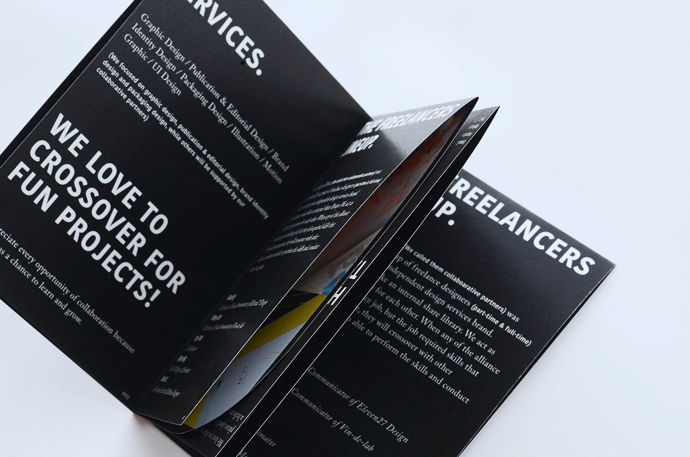 print design  graphic design  brand introduction editorial Layout Design