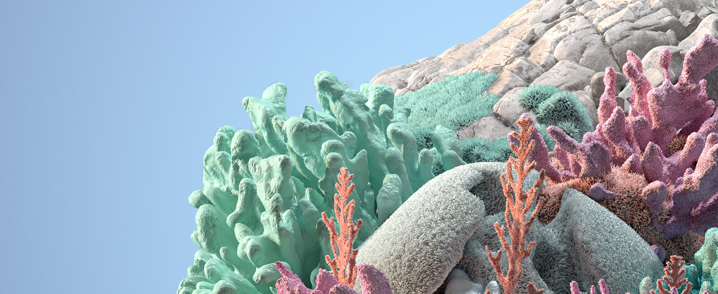 3D ArtDirection CGI coral Digital Art  Microsoft Nachei Nature windows