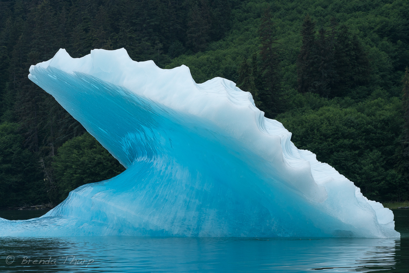 glaciers iceberg abstract Photography  Nature