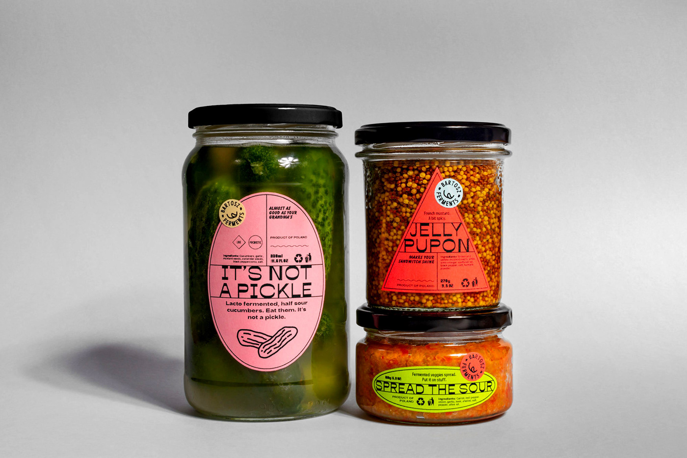 Food  label design Packaging kombucha kimchi labels Health branding 