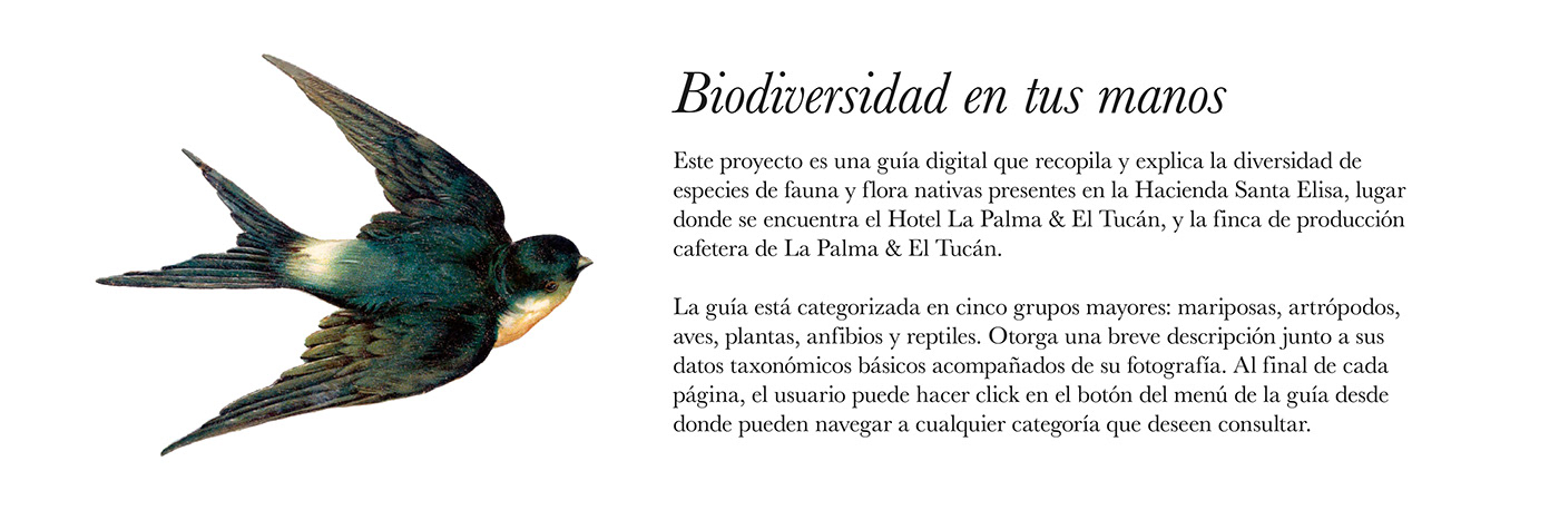 digital design graphic design  editorial Nature colombia Education conservation Sustainability environment