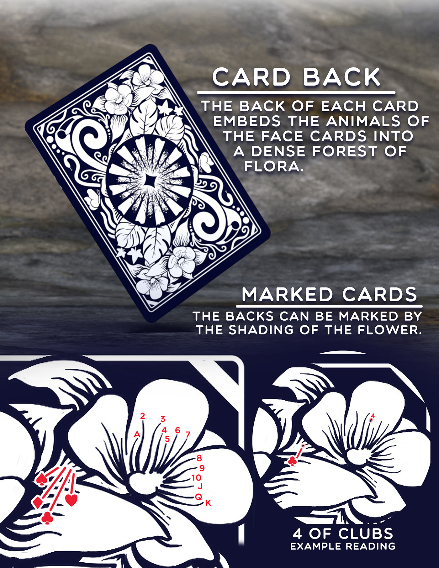 Amazon ambigram Illustrative minimal Playing Cards rainforest