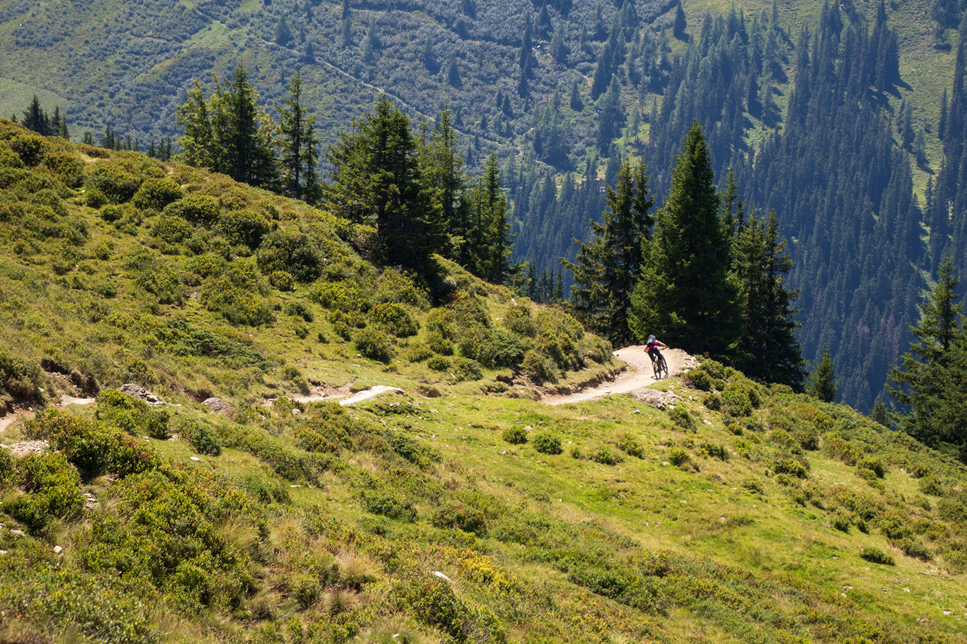 Bicycle Cycling enduro forest Saalbach SalzburgerLand trails