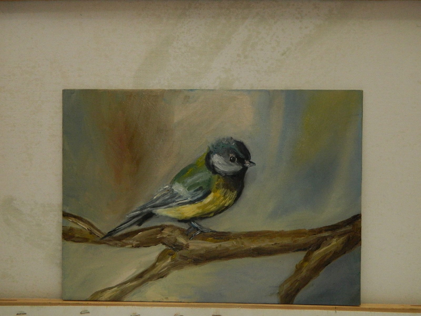 bird TIT Drawing  Picture painting   color oil paints
