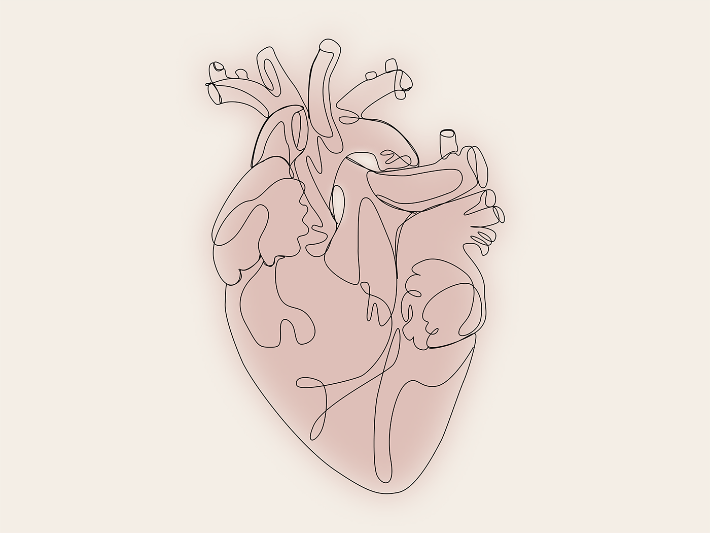 adobe illustrator anatomic heart Digital Art  digital illustration Drawing  heart line line art one line vector