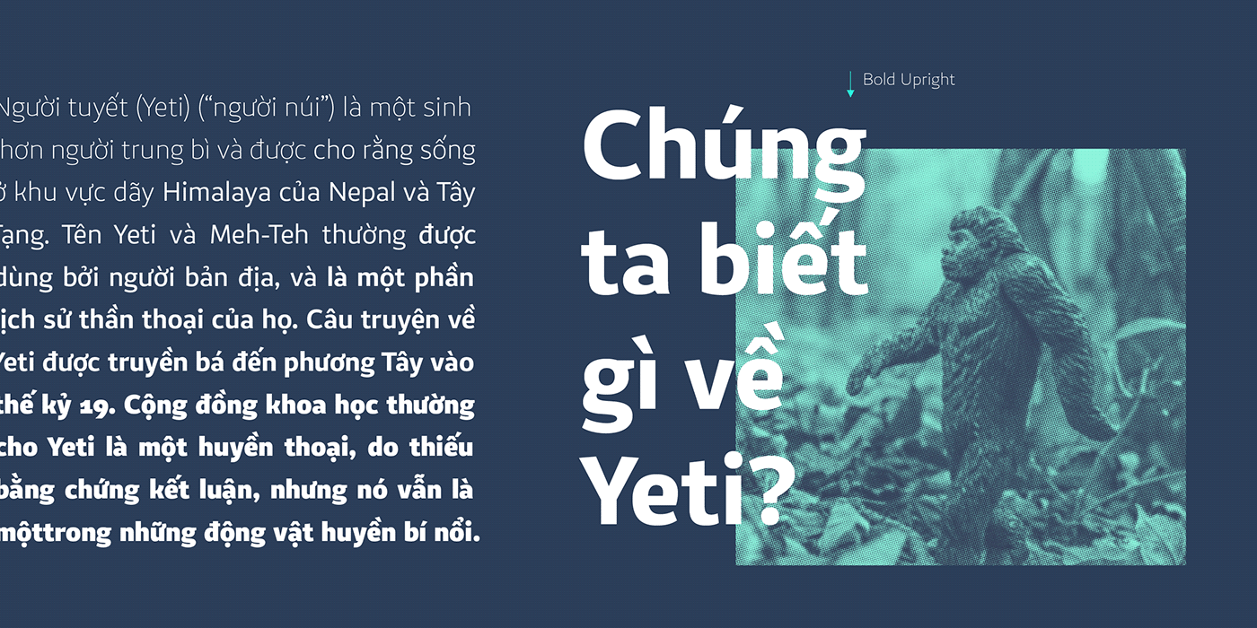 Cyrillic font Free font free typeface multiscript sans serif vietnamese type design typography  