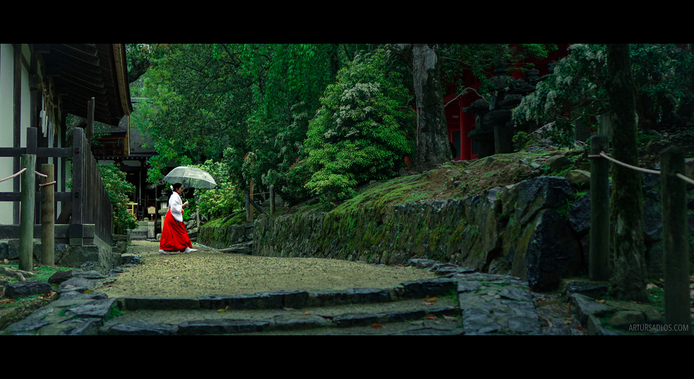 japan Photography  cinematic Movielike tokyo kyoto Nara temple Koyasan woods