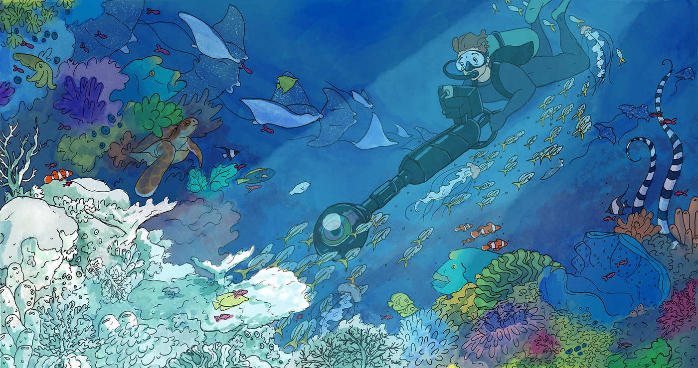 ILLUSTRATION  editorial scubadiving ink watercolor Adobe Photoshop Great Barrier Reef fish