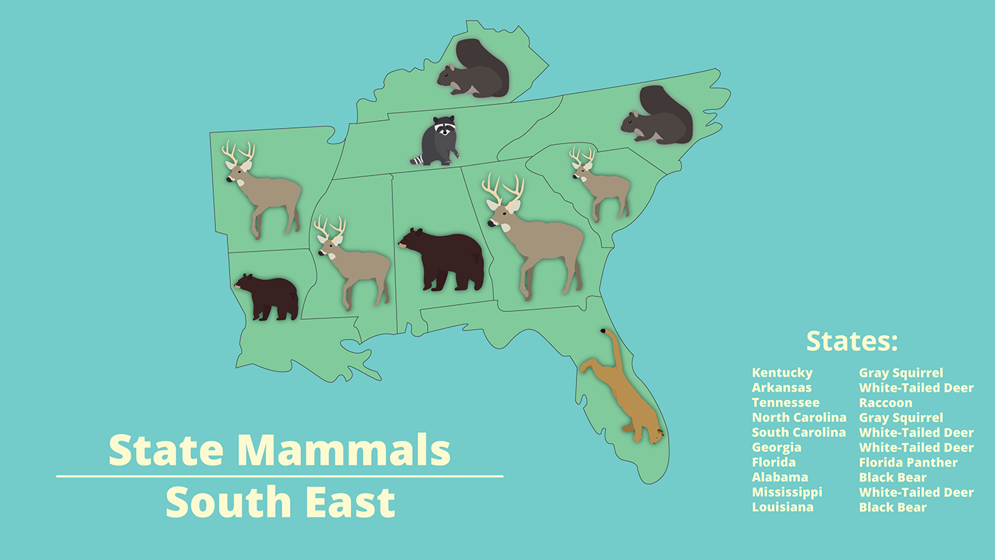 state infographic usa america animals informational