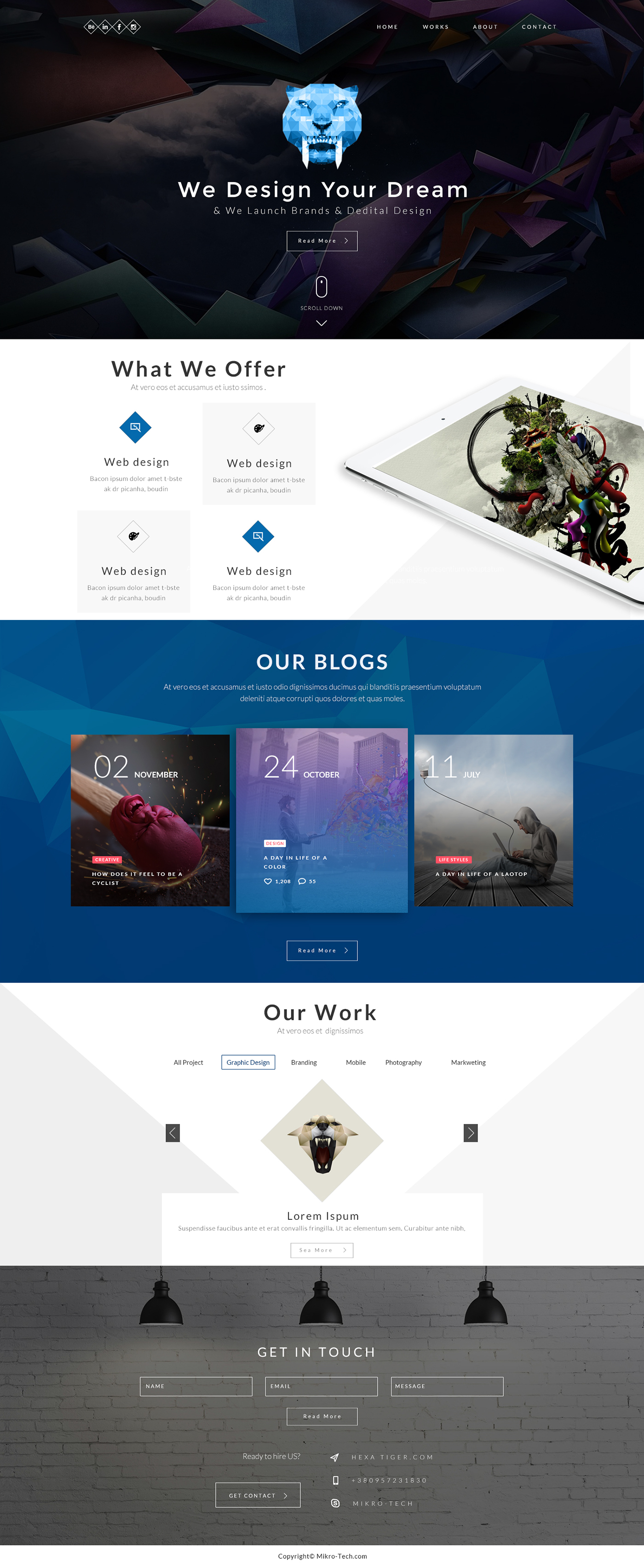 hexa tiger michael peres mikey peres web design california Web Design web development