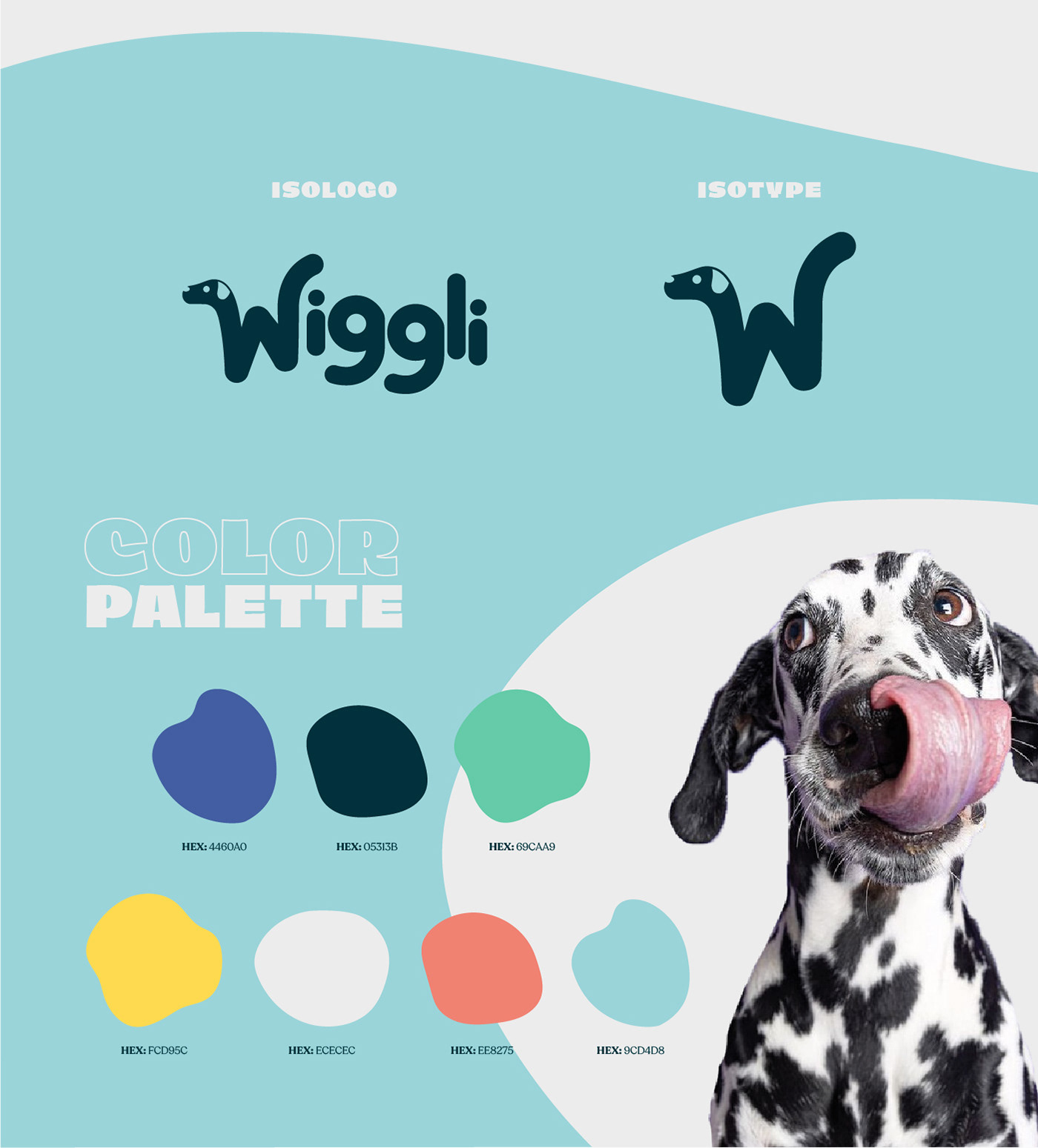 brand identity branding  design dog graphic design  Pet petshop social media Logotype naming