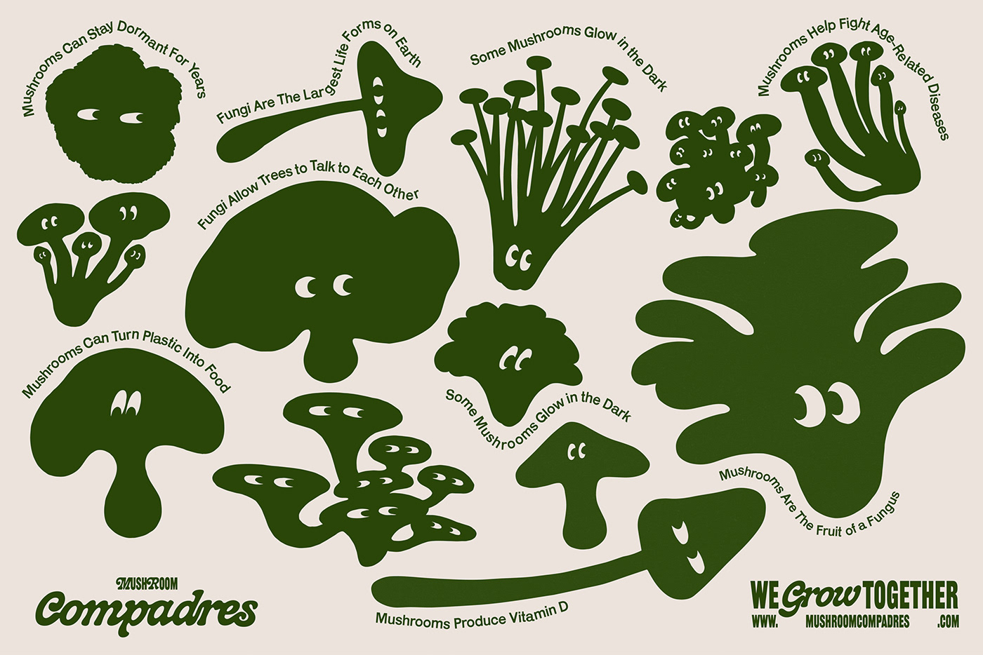 brand identity Branding design illustrations label design mushroom Poster Design typography   visual identity