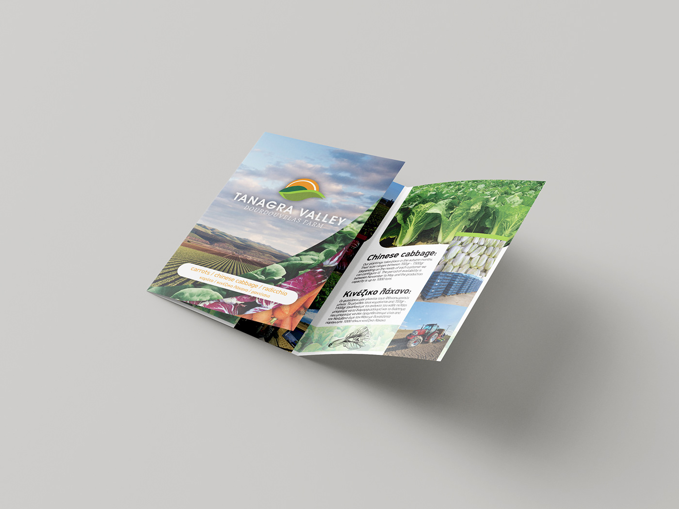 Advertising  brochure design designs flyer graphic design  Layout print typography   visual identity