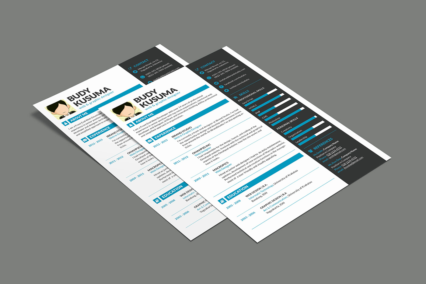free Resume CV freebies freebie psd photoshop free resume template