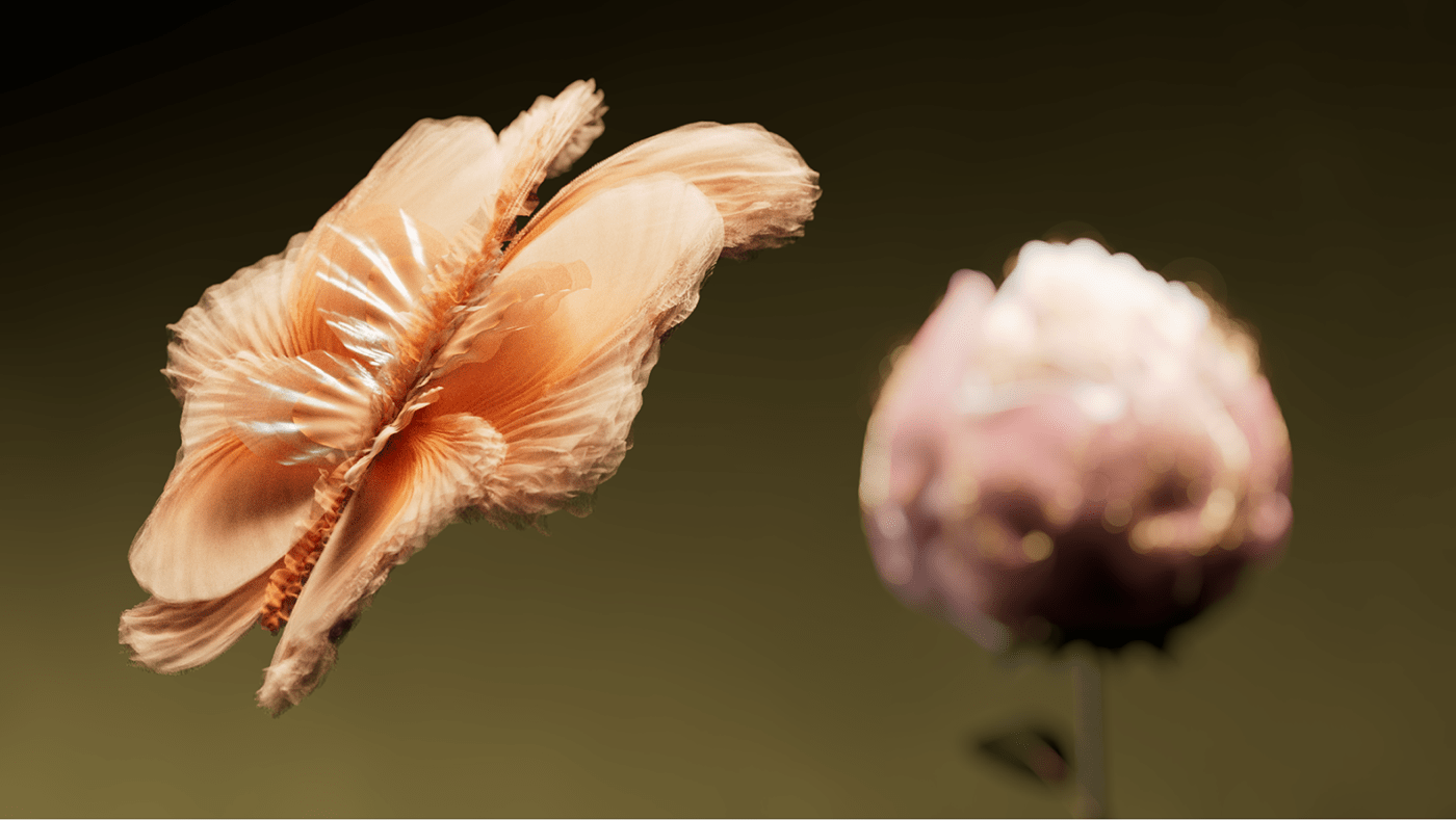 3D animation  art ballet buterfly CGI Flowers houdini simulation motion
