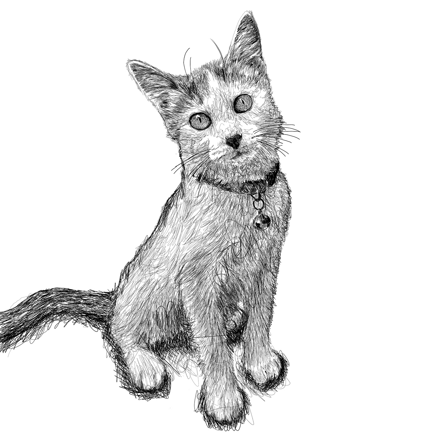 animal Cat ilustracion ilustración digital Mascot artwork Digital Art  digital illustration Drawing  ILLUSTRATION 