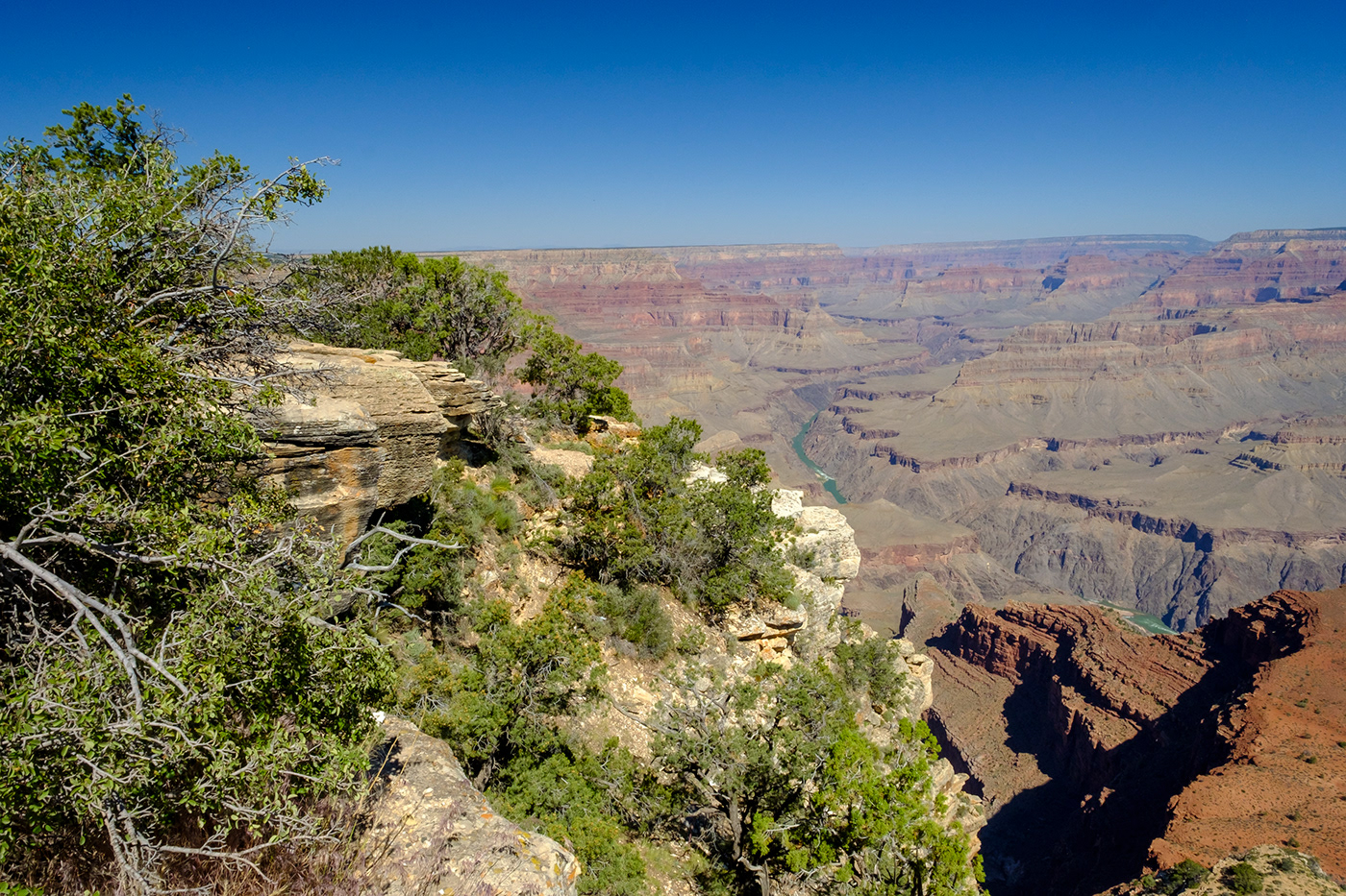 Grand Canyon Travel Landscape Nature outdoors National Park vacations red green