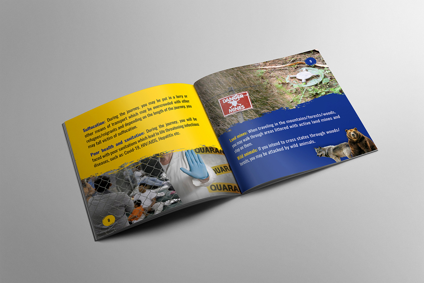 brochure design editorial design  InDesign Layout print