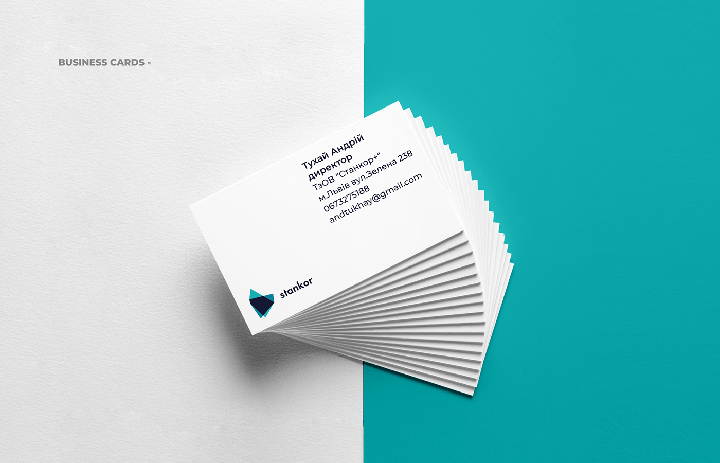 branding  graphic design  Printing logo Adaptive blue abstract Stankor