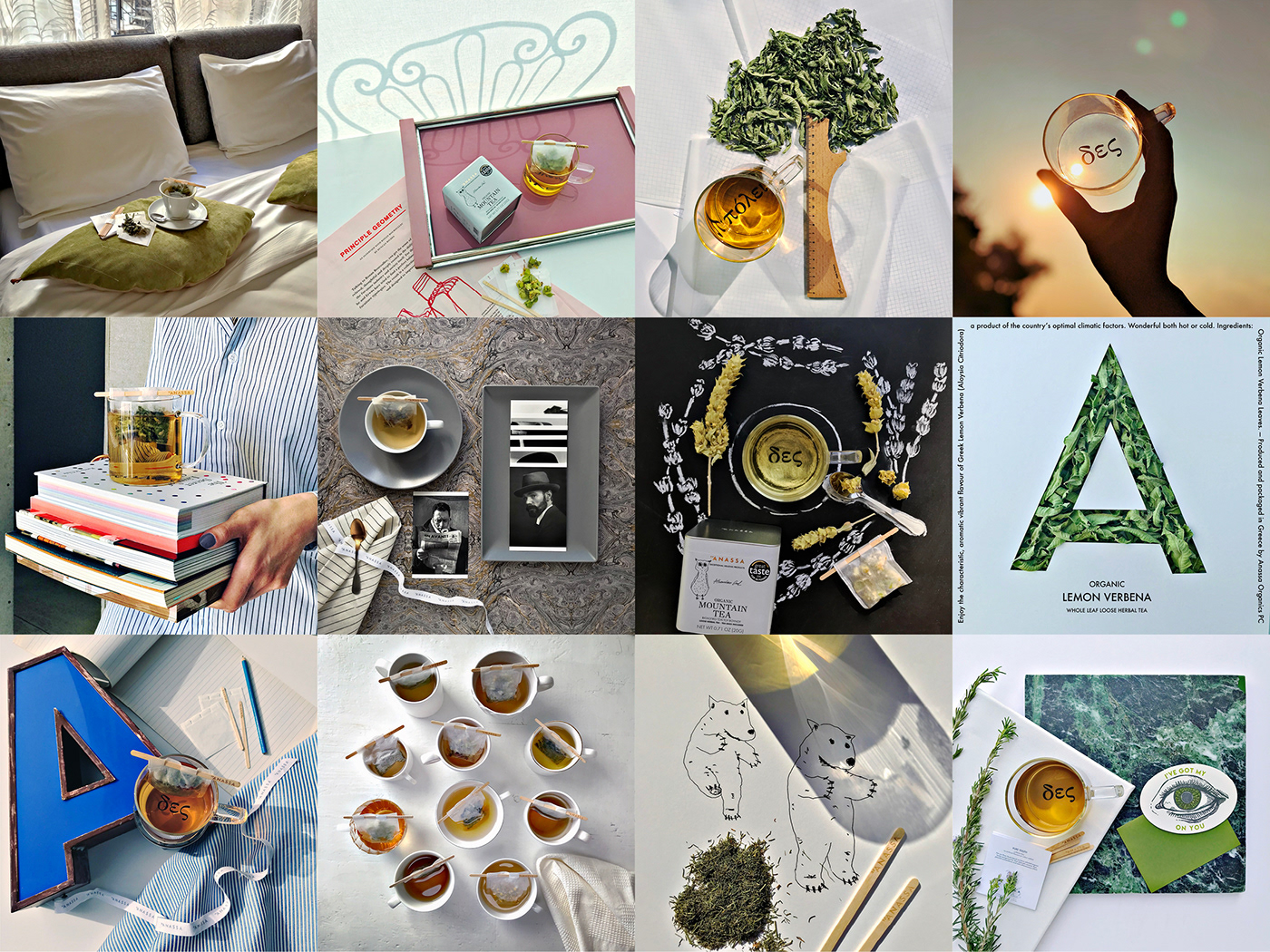 greek earth tea herbs organic social media deco lifestyle Wellness