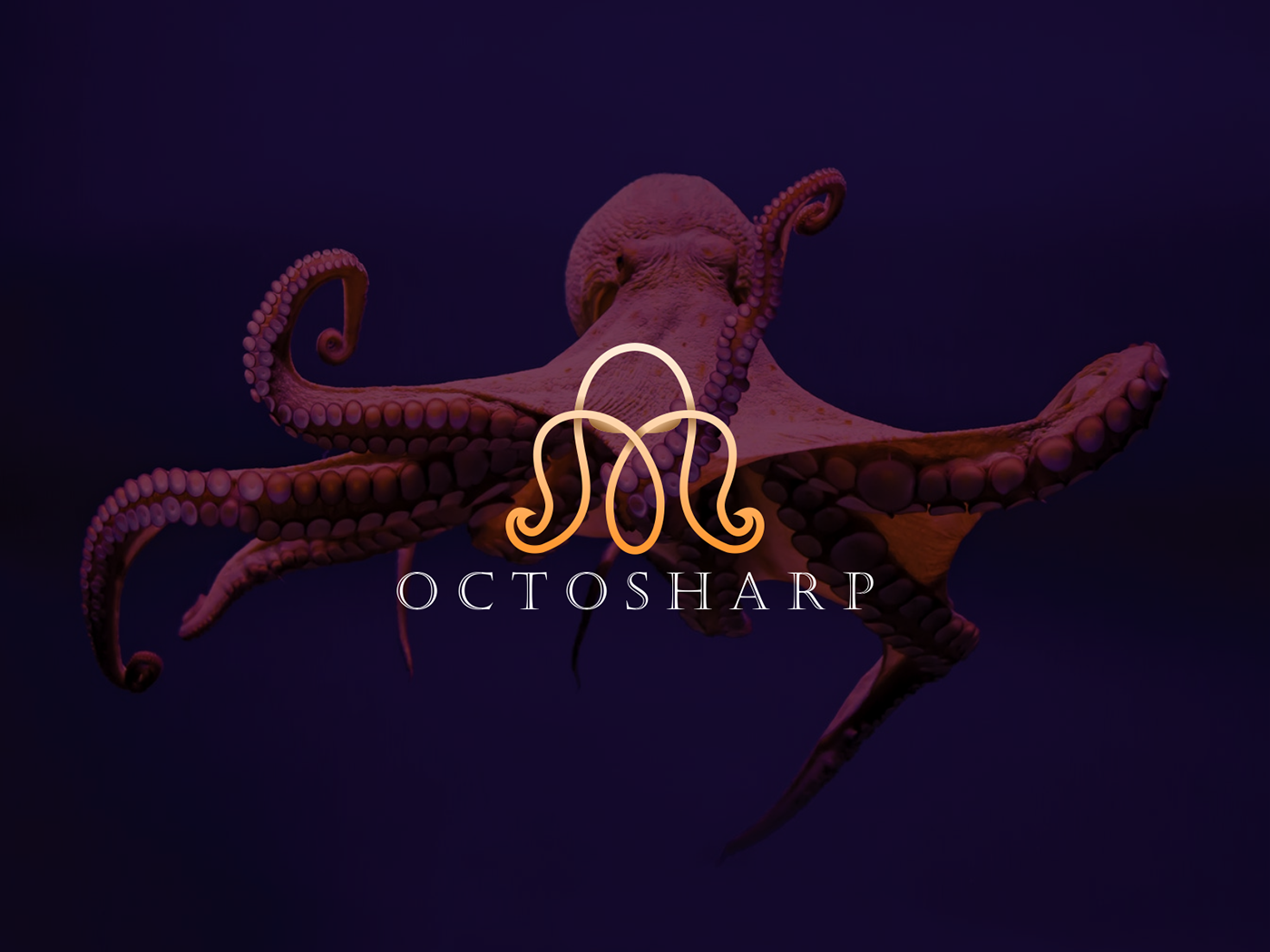 adobe illustrator branding  Logo Design octopus octopus logo design Octosharp logo Octosharp logo design photoshop vector