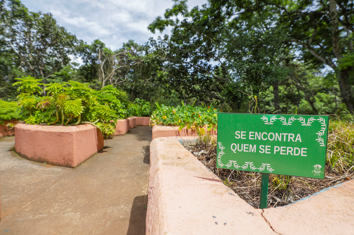 ambiental brasilia Brazil ecologia Meio Ambiente natureza